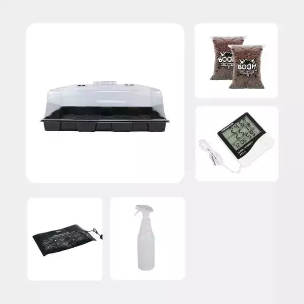 Kit Estudio Micológico Nivel Intermedio GB