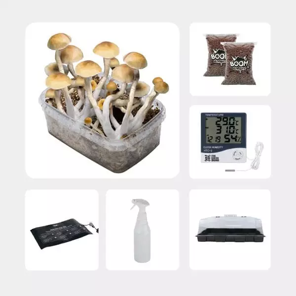 GB Mycological Study Kit Intermediate Level Thai