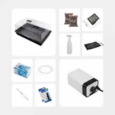 Kit Completo para Estudos Micológicos - GB The Green Brand