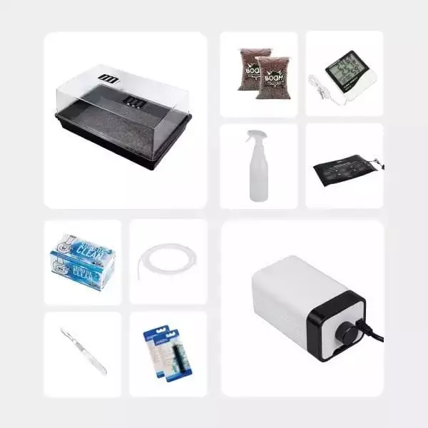 Kit Estudio Micológico Nivel Intermedio GB (sin pan)