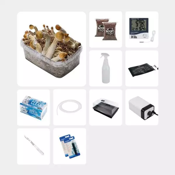 GB Complete Mycological Study Kit Mexicanas