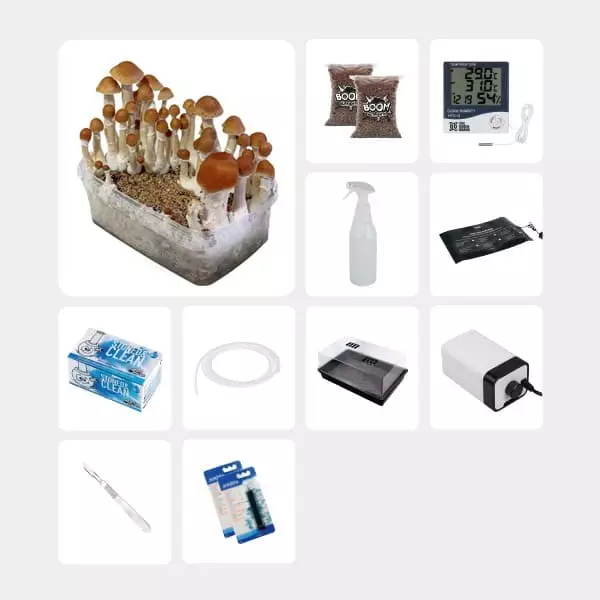 GB Complete Mycological Study Kit McKennaii