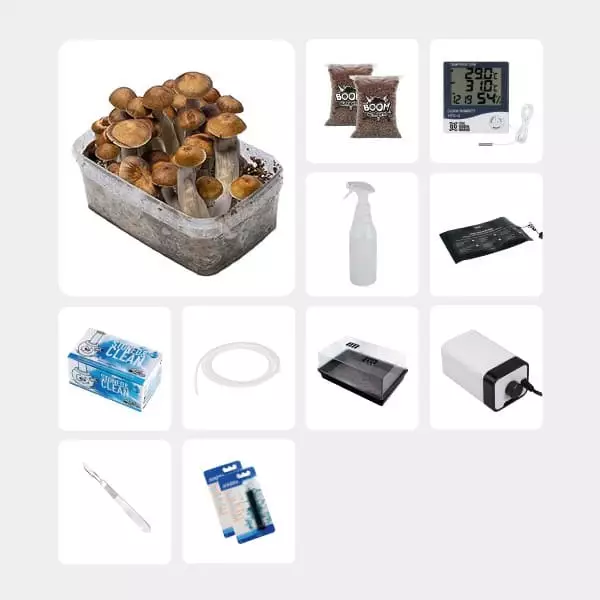 Kit Completo para Estudos Micológicos