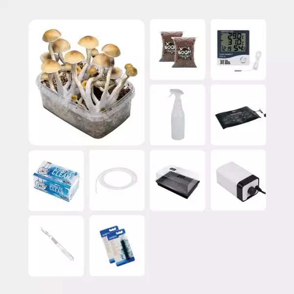 GB Complete Mycological Study Kit Thai