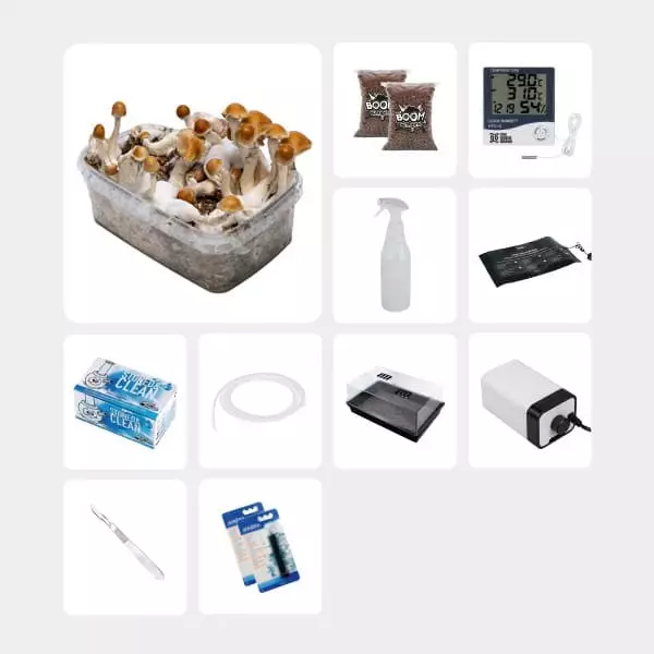 Kit Completo para Estudos Micológicos