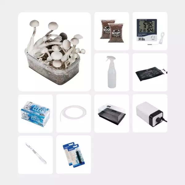 GB Complete Mycological Study Kit Treasure Coast Albino