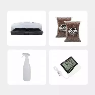 Kit de Cultivo de Setas Económico