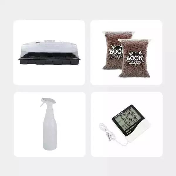 Kit de Cultivo de Setas Económico