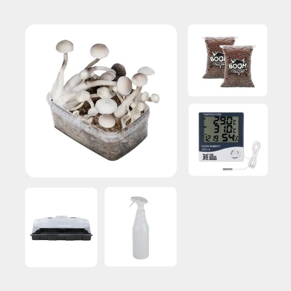 Kit Completo de Estudios Micológicos Treasure Coast Albino