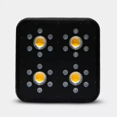 Led Solux Titan para cultivo de marijuana - GB The Green Brand