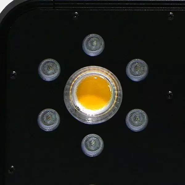 Led Solux Titan para cultivo de marijuana - GB The Green Brand