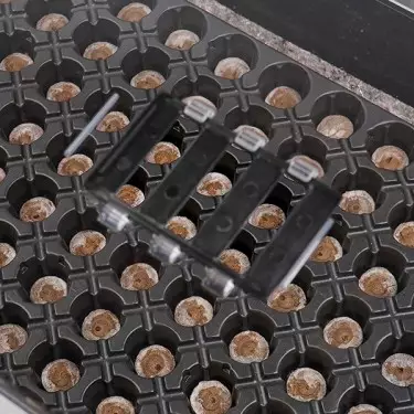 Propagator and Tray Kits for Clones - GB