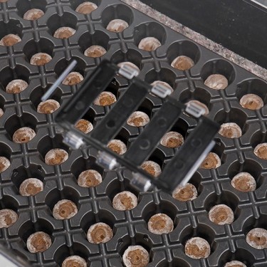 Kit Propagador + Bandeja jiffy 22mm 104 alveolos