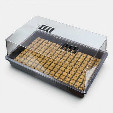 Kit Propagador + Bandeja lana de roca 150 alveolos