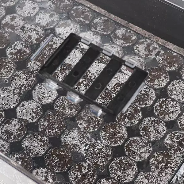 Propagator + Tray Kit