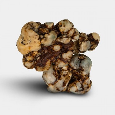 Trufas Sexy on the Beach Detalle