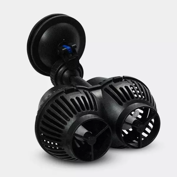 Água e nutrientes Água e nutrientes