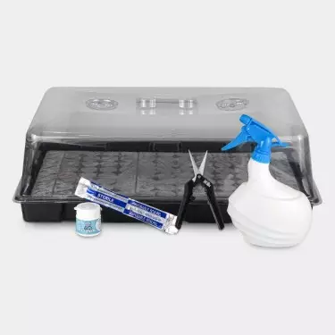 Boom Nutrients Clone Kit for cuttings - GB