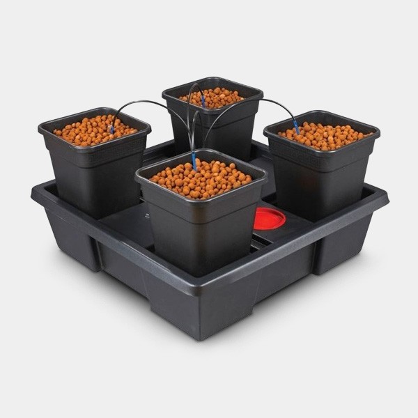 Wilma Large 4 completo 11L