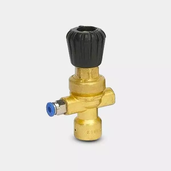 View Pressure Reducer for CO2 Bottles