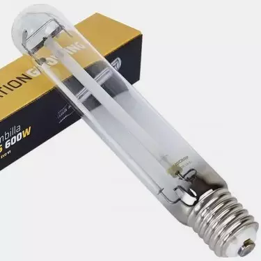 Buy 600W HPS Evo Bulb - GB The Green Brand