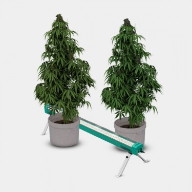 LED Under Canopy 120W PRO GB Lighting detalle plantas funcionamiento