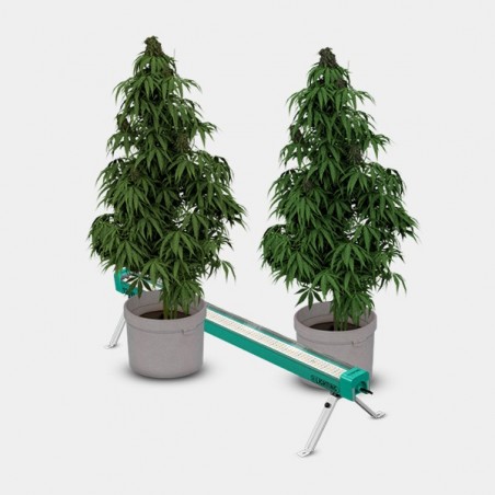 LED Under Canopy 120W PRO GB Lighting detalle plantas funcionamiento