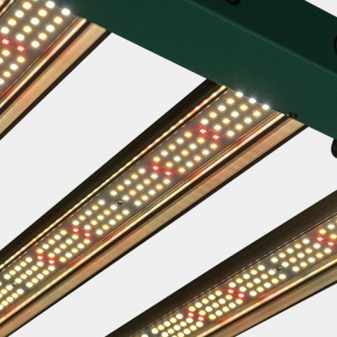 Sistema LED Regulable 240W PRO GB Lighting encendido detalle