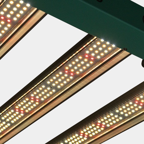 Sistema LED Regulable 240W PRO GB Lighting encendido detalle