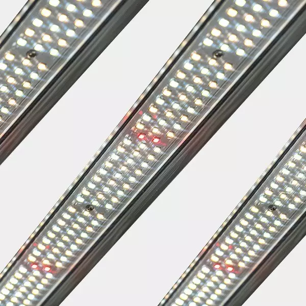 GB Lighting 720W PRO MAX Dimmable LED System LED detail