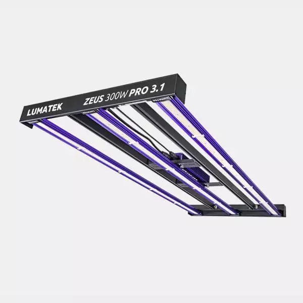 View LED Zeus 300W Pro 3.1 Lumatek