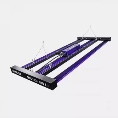 LED Zeus 300W Pro 3.1 Lumatek Reverso