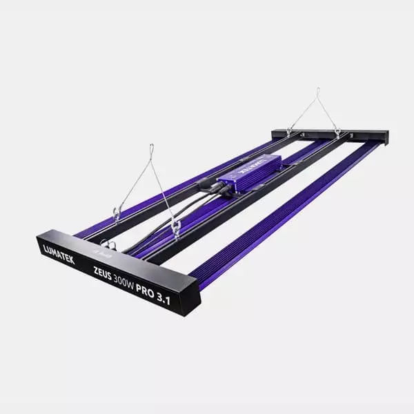 Lumatek Zeus 300W Pro 3.1 LED