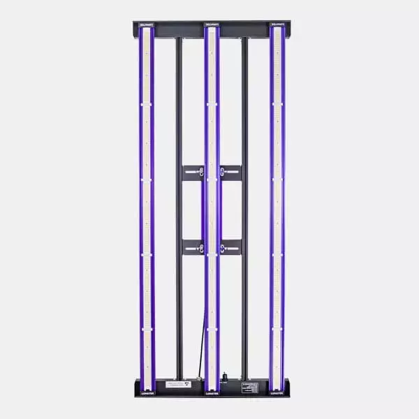 LED Zeus 300W Pro 3.1 Lumatek 💡 🟣- GB The Green Brand