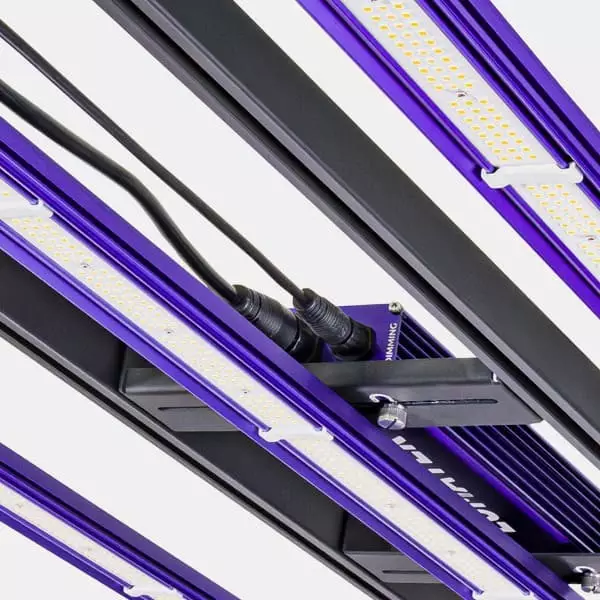 LED Zeus 300W Pro 3.1 Lumatek Detalle