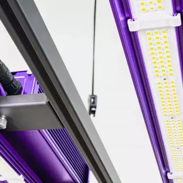 Lumatek Zeus 465W Pro 3.1 LED