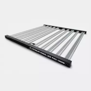 Platinum King Dimmable LED 1000W