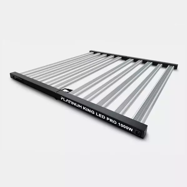 View Platinum King Dimmable LED 1000W