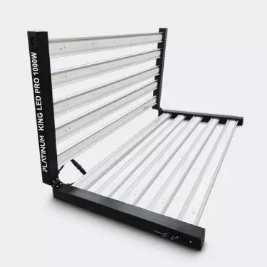 Platinum King LED 1000W com Regulador - GB The Green Brand