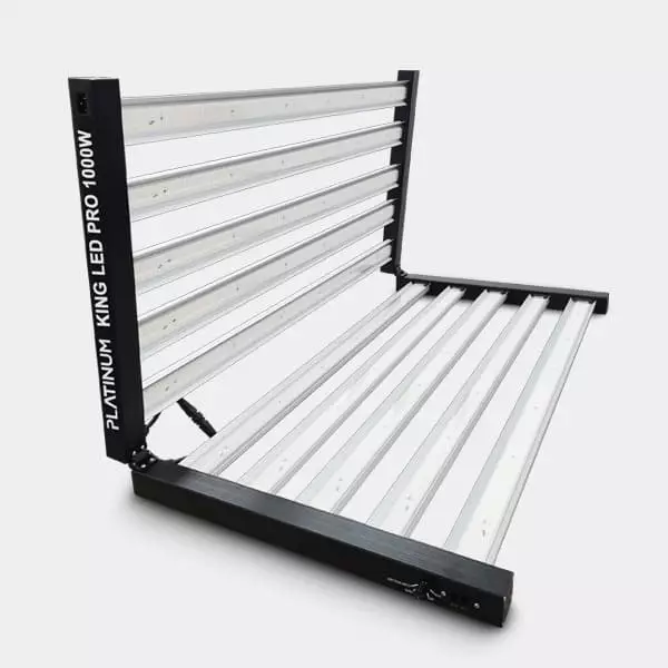 Platinum King LED 1000W con Regulador Detalle