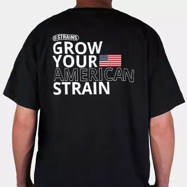 Strain Box 3 Strain Box 3