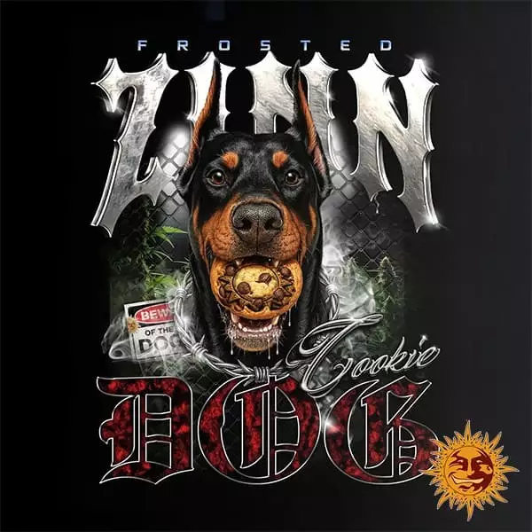 Frosted Zinn x Cookie Dog Auto Diseño