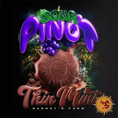Thin Mint x Sour Pinot Auto Logo