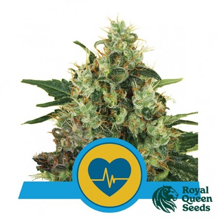 Medical Mass