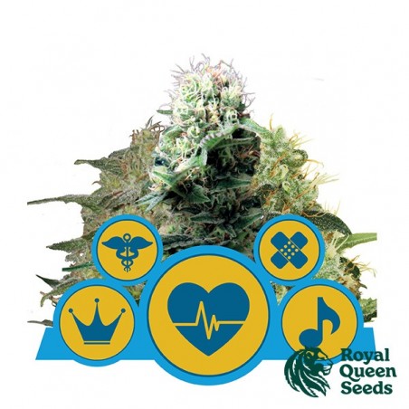 CBD Mix