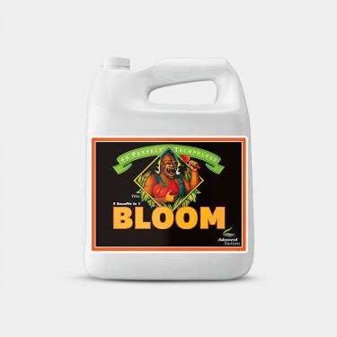Bloom Ph Perfect formato grande