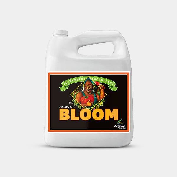 Bloom Ph Perfect formato grande