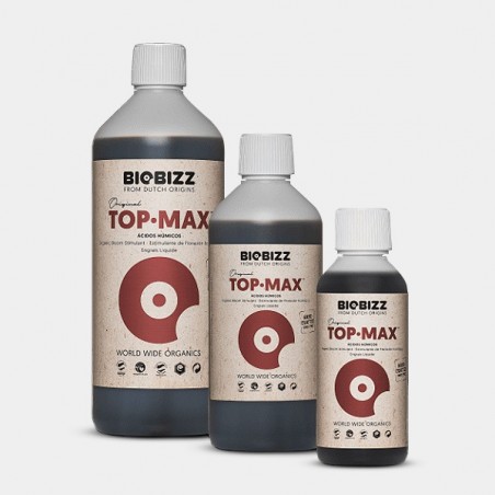 Top Max