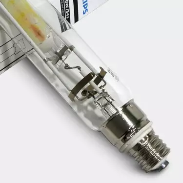 Bombilla Philips HPI-T crecimiento detalle