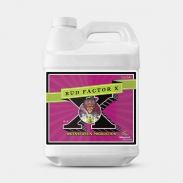 Bud Factor X formato grande